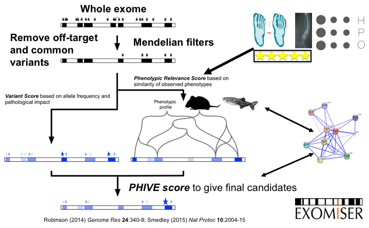 Exomiser